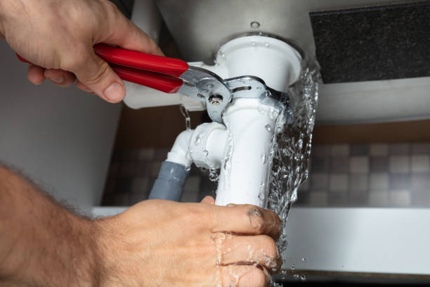 Best Local water damage restoration  in Philippi, WV