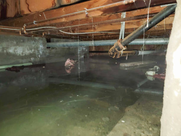 Professional Water damage restoration in WV