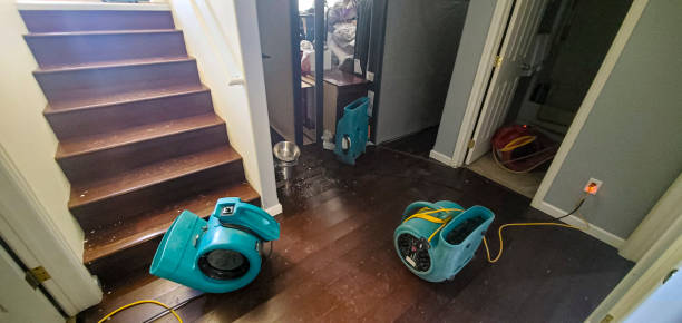 Best Emergency water damage restoration  in Philippi, WV