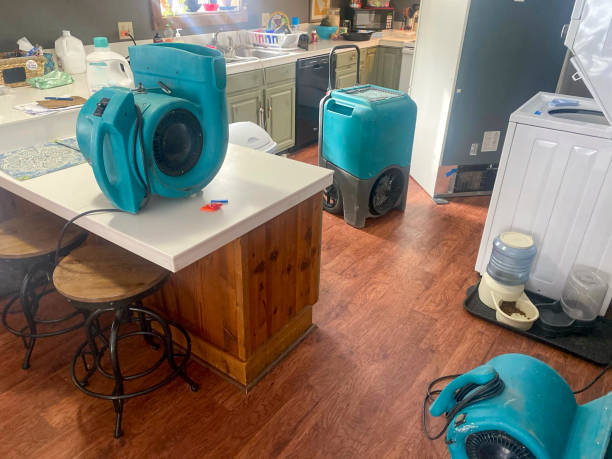 Best Residential water damage restoration  in Philippi, WV