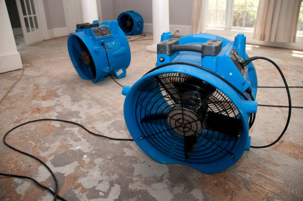 Best Flooded house restoration  in Philippi, WV