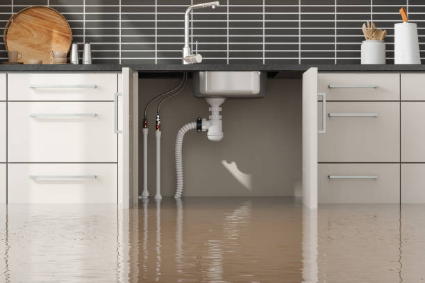 Best Residential water damage restoration  in Philippi, WV